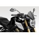 R-0916 : DPM CB650R Windschutzscheibe CB650 CBR650