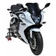 0301S89 : Sport-Windschild Ermax 2017 CB650 CBR650