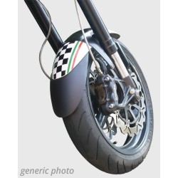 710118T04 : Ermax Front Mudguard Extension Honda CB650