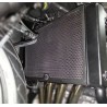 1069888 : R&G Radiator Guard CB650 CBR650