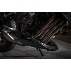 Paramotore Honda CB650R