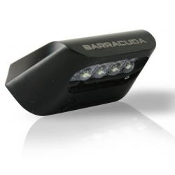 N1002 : Einschließlich Barracuda-Nummernschildbeleuchtung Honda CB650